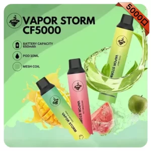 VAPOR STORM 5000 Puffs一次性電子煙