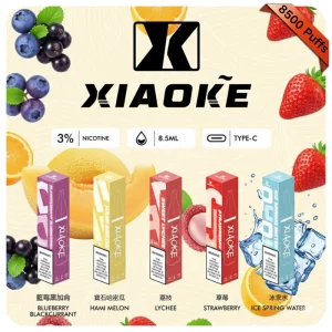 XiaoKe 8500 Puffs 口紅款